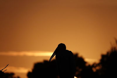 Rear view of silhouette woman standing against orange sky