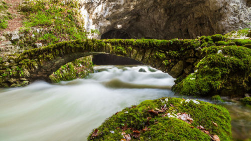 Scenic view of waterfall in forest