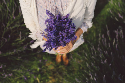 Close-up of purple flowers