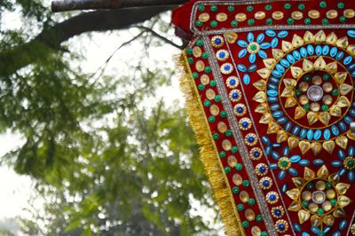 Low angle view of multi colored hanging on tree