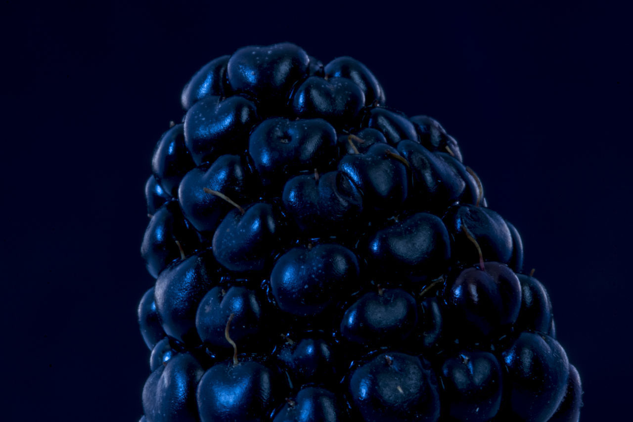 CLOSE-UP OF BERRIES