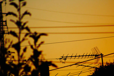 Close-up of plants against sunset