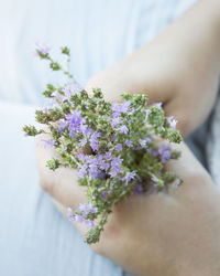 Cropped hands of woman holding flowers