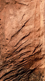 soil
