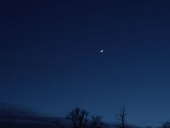 Low angle view of silhouette trees against blue sky at night