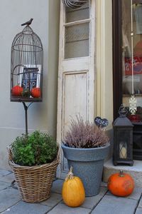 Potted plants on table outside house