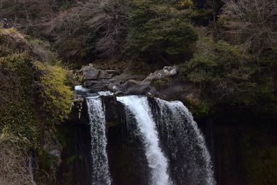 Close-up of waterfall against trees