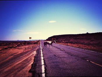 Road passing through landscape