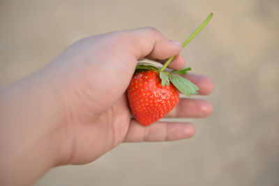 Close-up of hand holding strawberry