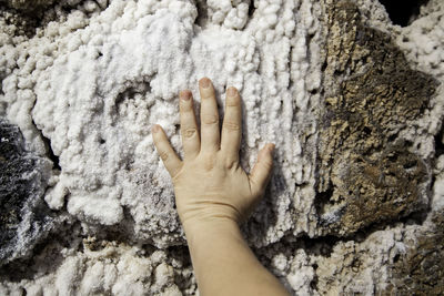 Close-up of human hand on tree trunk