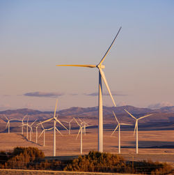 Wind turbines in a field with clear sky