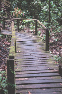 Close-up of trees in forest