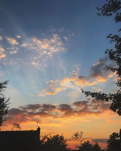 Low angle view of silhouette trees against sky during sunset