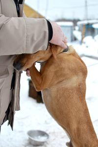 Close-up of man with dog