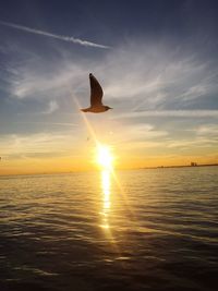 Silhouette bird flying over sea against sky during sunset