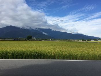 Scenic view of field against sky