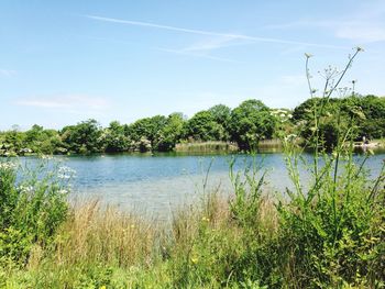 Scenic view of lake against sky