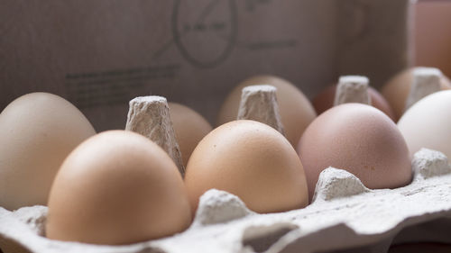 Close-up of eggs on carton