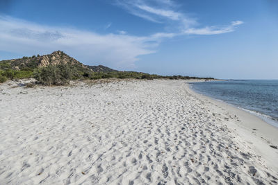 The white beach of cala brandinchi in, siniscola, sardinia