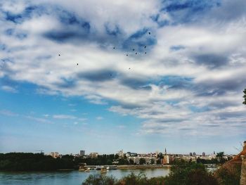 Birds over river against sky in city