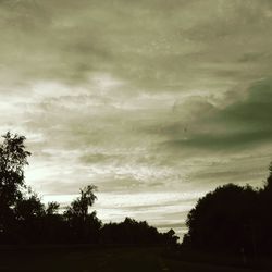 Silhouette of trees against cloudy sky