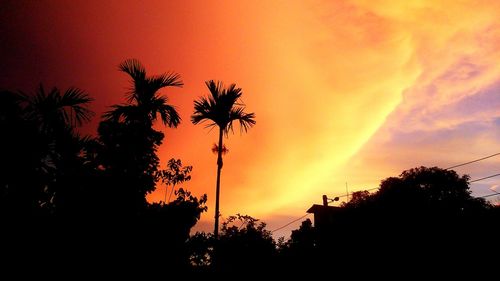 Silhouette palm trees against orange sky