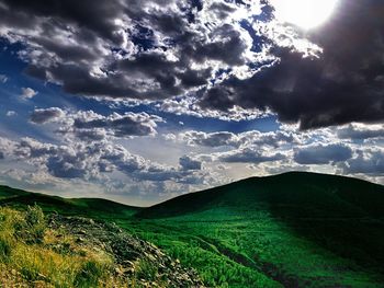 Scenic view of agricultural field against sky
