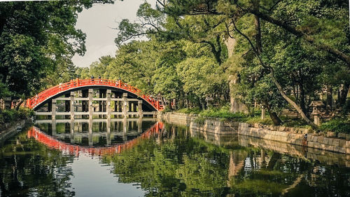 Reflection of trees on bridge over water