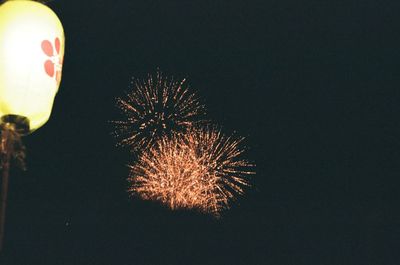 Firework display at night