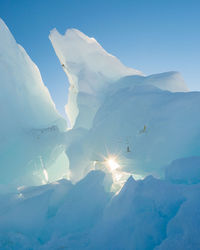 Ice bergs formations in greenland