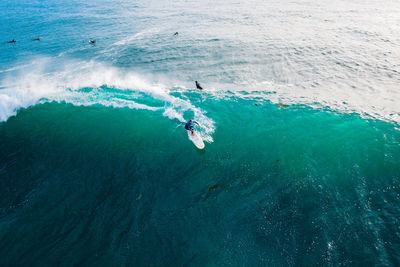 High angle view of people swimming in sea