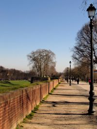 Walkway amidst trees against clear sky