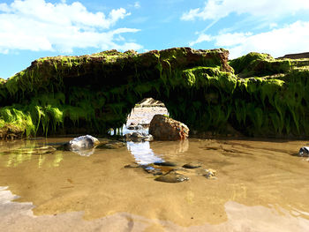 Scenic view of beach against sky