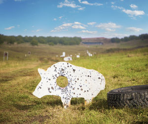 Sight, shooting practice in the open air.