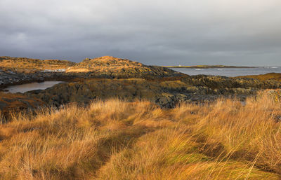 Scenic view of land against sky