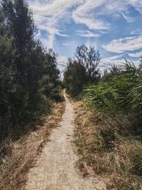 Dirt road amidst plants and trees against sky