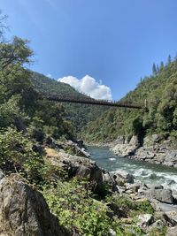 Scenic view of river amidst trees against sky