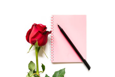 Red rose on book against white background