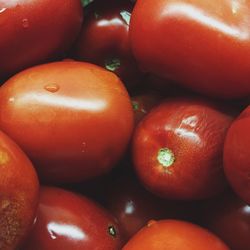 Full frame shot of tomatoes