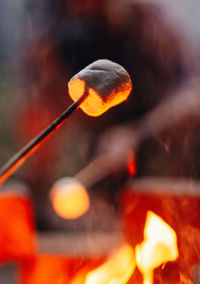 Close-up of bonfire on wood