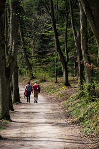 Rear view of two people walking on footpath in forest