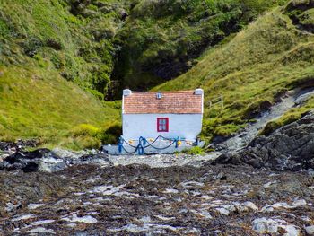 Idyllic small house