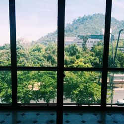 View of trees and mountains