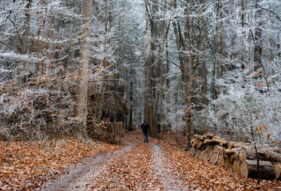 Rear view of people walking on snow covered land