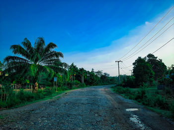 Dirt road amidst trees against sky