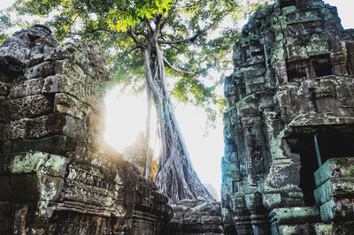 Low angle view of a temple