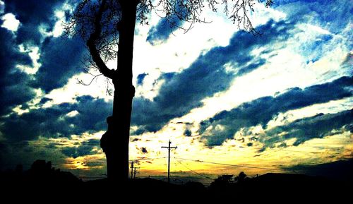 Silhouette of trees at sunset