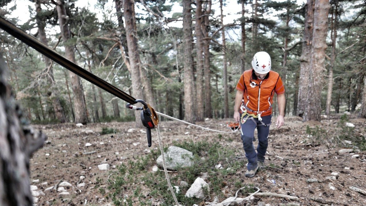 REAR VIEW OF BOYS IN FOREST