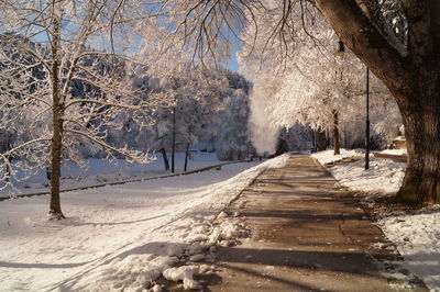 Snow covered trees on landscape during winter