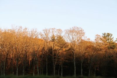 Scenic view of lake against clear sky